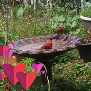 Meet your Posher, Lynn